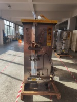 Machine d'emballage d'eau en sachet économique, filtration potable de 500 litres avec traitement de l'eau de 1000 LPH, installation de traitement de l'eau, stockage d'eau pure