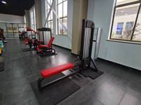 Equipo de Gimnasio Comercial para Abducción Interna y Externa, Entrenamiento de Fuerza, Abducción de Cadera Interna y Externa