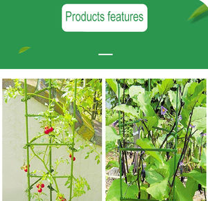 Marco de escalada al por mayor OEM ODM para plantas en maceta, puerta de cerca de tomate de tendencia caliente para patios y jardines, enrejado y puertas de esgrima - Product Image 2