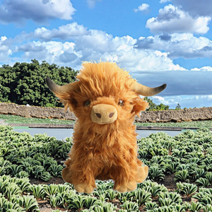 Nuevo Juguete de Peluche de Vaca de las Tierras Altas Escocesas, Realista, Suave y Adorable, Peluche de Granja, Juguete de Peluche de Vaca - Product Image 3