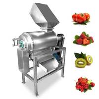RVS enkeltraps pulpmachine voor sapproductie, fruit- en mangopulp sapbereiding, verwerking, pulper, sapcentrifuge