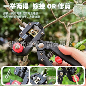 Cuchillo de jardinería para injerto de árboles con hoja recta de acero con alto contenido de carbono, mango de plástico antideslizante, herramienta de hoja fija negra - Product Image 2