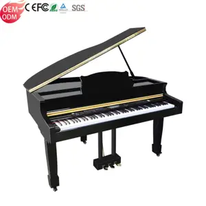 Giá Grand Piano Electrico Piano Kỹ Thuật Số Đàn Piano 88 Trọng Key