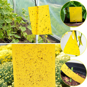 Trampa Adhesiva Ecológica y Resistente al Agua para Insectos, Plástico, Mata Moscas, para Pulgones, Tabla Adhesiva, Atrapa Moscas Blancas, Control de Plagas Natural - Product Image 2