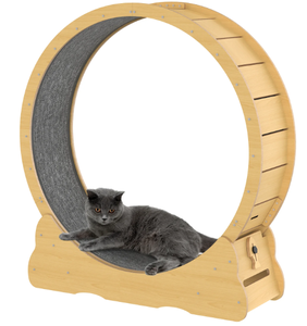 Solid Wood Interactive <b>Cat</b> Treadmill <b>Wheel</b> (FSC Wood) - Product Image 5