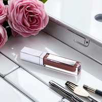Meilleure Vente Gloss à Lèvres Nude Brillant Haute Pigmentation Waterproof Base de Gloss Chimique Repulpant Rouge à Lèvres Liquide de Luxe Effet Miroir Certifié CE