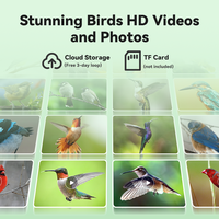 Mangeoire à oiseaux avec caméra, reconnaissance d'oiseaux par IA, énergie solaire, notification instantanée, enregistrement automatique des oiseaux en Full HD