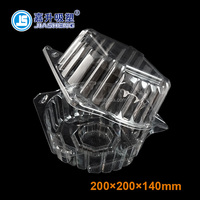 Plateau blister à clapet en plastique transparent personnalisé pour les contenants d'emballage de légumes frais et de laitue avec haute visibilité et accès facile