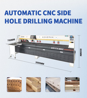 Machines de perçage CNC CX-K2, machine de perçage latéral CNC, machine de perçage latéral CNC pour le bois, pour la fabrication de meubles