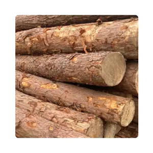 도매 사용자 정의 100% 원시 소나무 나무 통나무 최고의 가격 하이 퀄리티 티크 나무 라운드 로그 베트남 제품 판매