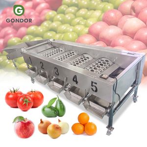 Machine industrielle de calibrage et de tri des fruits (myrtilles, cerises aigres, pommes de terre, carottes, oignons, tomates) et de lavage et de cirage - Product Image 1