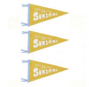 Bandera Triangular de Fieltro con Impresión Digital a Color Personalizada, Bandera Estilo Guirnalda, Banderas Escolares Únicas y Personalizables - Product Image 5