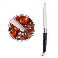 Couteau à steak manche ABS noir couteau à steak lame de polissage ensembles de couteaux à steak