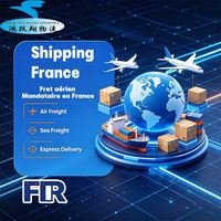 Agente de Envíos, Transporte Aéreo a Francia, Servicio de Envío al Aeropuerto de Ruan y Orly, París, Servicio Exprés UPS, Servicios de Transporte UPS