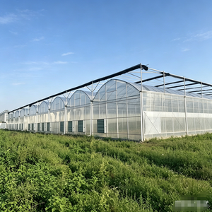 Serra Commerciale Grande Multi-Span a Singola Trave, Set Completo per Agricoltura Commerciale, di Grande Successo - Product Image 1
