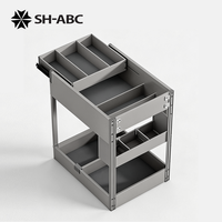 Panier à épices coulissant double couche en aluminium, organisateur de condiments multi-compartiments pour tiroir de cuisine et armoire