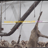 Ligne d'abattage complète d'agneau Machines d'abattoir de moutons pour équipement d'abattage de chèvres par multifonction en acier inoxydable