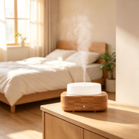 Diffuseur d'arômes ultrasonique à grain de bois, machine à parfum aux huiles essentielles, petit humidificateur d'aromathérapie de bureau pour la chambre à coucher