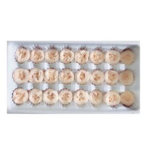 100% rosas eternas estabilizadas hechas a mano a granel rosas preservadas eternas decorativas Flor de Yunnan - Product Image 1