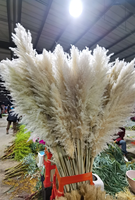Reed kecil berwarna kayu bakar abadi bunga rumah pernikahan Natal DIY dekorasi pampas rumput pampas reed bunga kering
