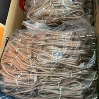 Lumières néon à connecteurs DC mâles et femelles 24V, LED dimmables en silicone IP67 pour aménagement paysager, couleurs bleu et orange