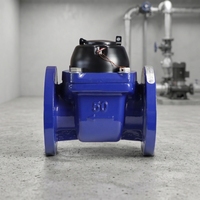 Compteur d'eau mécanique à bride en fonte, fourni par l'usine, diamètre nominal DN50-DN300, performance stable pour l'eau froide