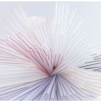 OEM papier d'emballage de fleurs de haute qualité nouveau design revêtement PVC double face imperméable design à rayures colorées
