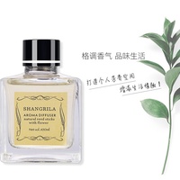 Diffuseur à bâtonnets en gros 100 ml, désodorisant d'ambiance, diffuseur d'huiles essentielles sans flamme, ensemble diffuseur à bâtonnets longue durée