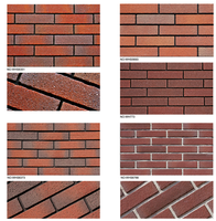Carreaux muraux en clinker rustiques colorés briques fendues décoratives extérieures pour murs d'école en vente