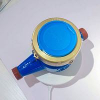 Hot Cold Multi-Jet Mechanical Water Meter Cast Iron Housing Union Nut Cheap Counter Sub-Dial Apartment Villa
