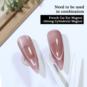 Kit d'aimants pour ongles œil de chat français à double tête, nouveau style, outils de vernis gel magnétique pour nail art DIY - Product Image 3