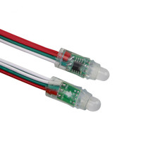 Luci LED RGB WS2811 5V 12V 12mm con corpo in plastica, luci decorative per Natale e parchi a tema, luci a punti nominali.