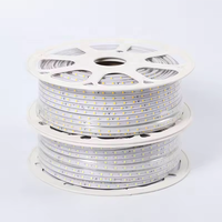 Vente en gros de bandes lumineuses LED haute tension 110V 220V SMD 2835 étanches à LED IP65 pour centres commerciaux décorations pour la maison
