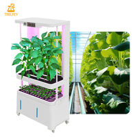 Jardin d'intérieur intelligent avec éclairage LED à commande tactile et réglages de pompage flexibles, technologie de culture hydroponique sur comptoir