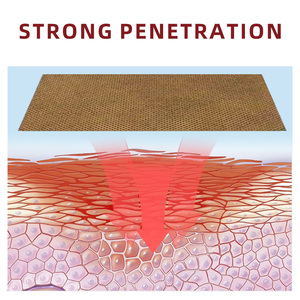 伝統的な中国医学の体用貼り薬、天然ハーブ配合の鎮痛プラスターパッチ、3年間の保存期間、クラスI - Product Image 4