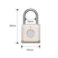 Mini cadenas à empreintes digitales intelligent RARLUX SY51 IP67 pour la sécurité des bagages de voyage et des casiers scolaires