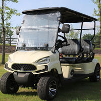Moteur à courant alternatif électrique du chariot de golf 48v de buggy de golf de siège de l'aéroport chinois 4 avec le mètre professionnel