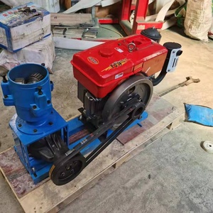 WEIYAN Key Starter Động Cơ Diesel Làm Thức Ăn Chăn Nuôi Pelletizer Giá Gia Cầm Gia Súc Mini Thức Ăn Viên Máy - Product Image 5