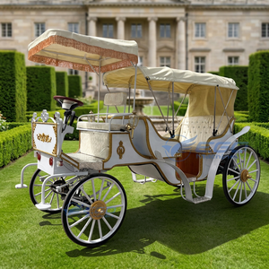 Carroza Eléctrica Blanca de Lujo Personalizada para Bodas Reales, Venta al por Mayor, Carroza sin Caballos, Vagoneta Turística de Gran Demanda - Product Image 1