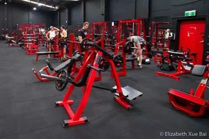 Équipement de gymnastique commercial pour la <span class=keywords><strong>musculation</strong></span> des femmes façonnant la Shenqi abdominale et les fesses soulevant la <span class=keywords><strong>machine</strong></span> d'exercice de serrage - Product Image 3