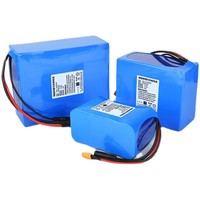 60V 10Ah Robot Mainan Bekas Robot Layanan Pintar Penyedot Debu Rumah Tangga Humanoid Emo Ai Paket Baterai Cair 18650-16S3P 2.5KG