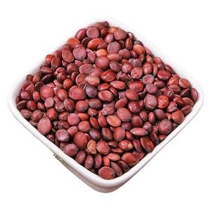 Suan Zao Ren biji tanggal tulang belakang kering biji Jujube biji rempah-rempah <span class=keywords><strong>Semen</strong></span> zizipi spinossae mentah/butiran panggang diproses rasa kapulaga - Product Image 5