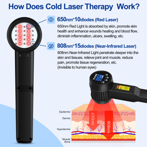 Láser de Terapia de Tejido Profundo de 3W para el Hogar y Láser Frío Veterinario para la Inflamación Equina y la Rehabilitación Articular - Product Image 2