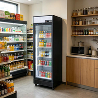 Réfrigérateur Vitrine Vertical à Une Porte pour Boissons, Cola et Vin