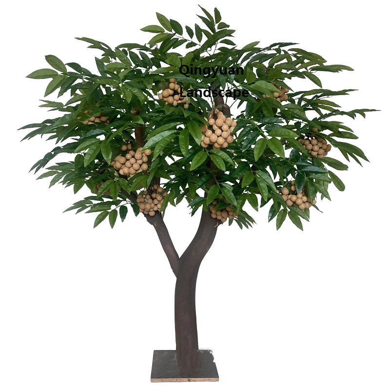 ต้นลำไย