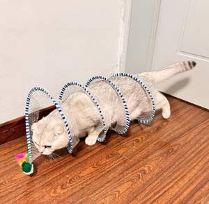 मज़ेदार कार्टून शैली डबल-हेड इंटरैक्टिव बिल्ली खिलौना के आकार ढहने वाले जीवन के लिए बिल्ली सुरंग - Product Image 3