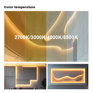 ไฟน้ำพุใต้น้ำ IP68 แข็งแรง 16x16 มม. นีออนเฟล็กซ์ LED 24VDC กันน้ำ ดูดซับน้ำไม่ได้ สีขาว - Product Image 4