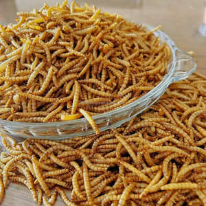 תולעי בשר מיובשים מיקרוגל מזינים מזון יבש לציפורים ובעלי חיים קטנים - Product Image 2