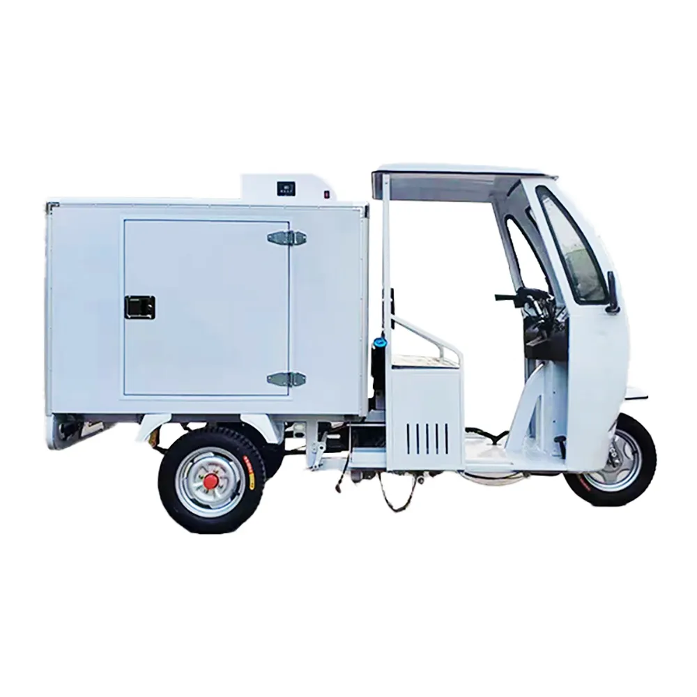 3 ruote per adulti triciclo elettrico automatico scatola refrigerata per adulti con tetto