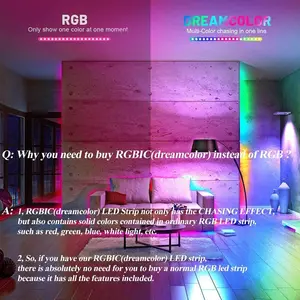 Effet de poursuite personnalisé RGBIC Dream Color 12V 5m 10m Magic Rainbow Music Sync 5050 RGB IC Smart Dreamcolor LED Strip Lights Kit